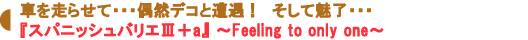 『スパニッシュバリエⅢ+a』~Feeling to only one~