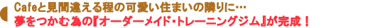夢をつかむ為の『オーダーメイド・トレーニングジム』が完成!