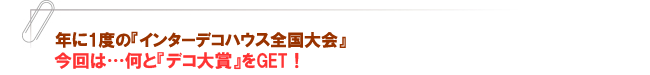 『デコ大賞』をGET!